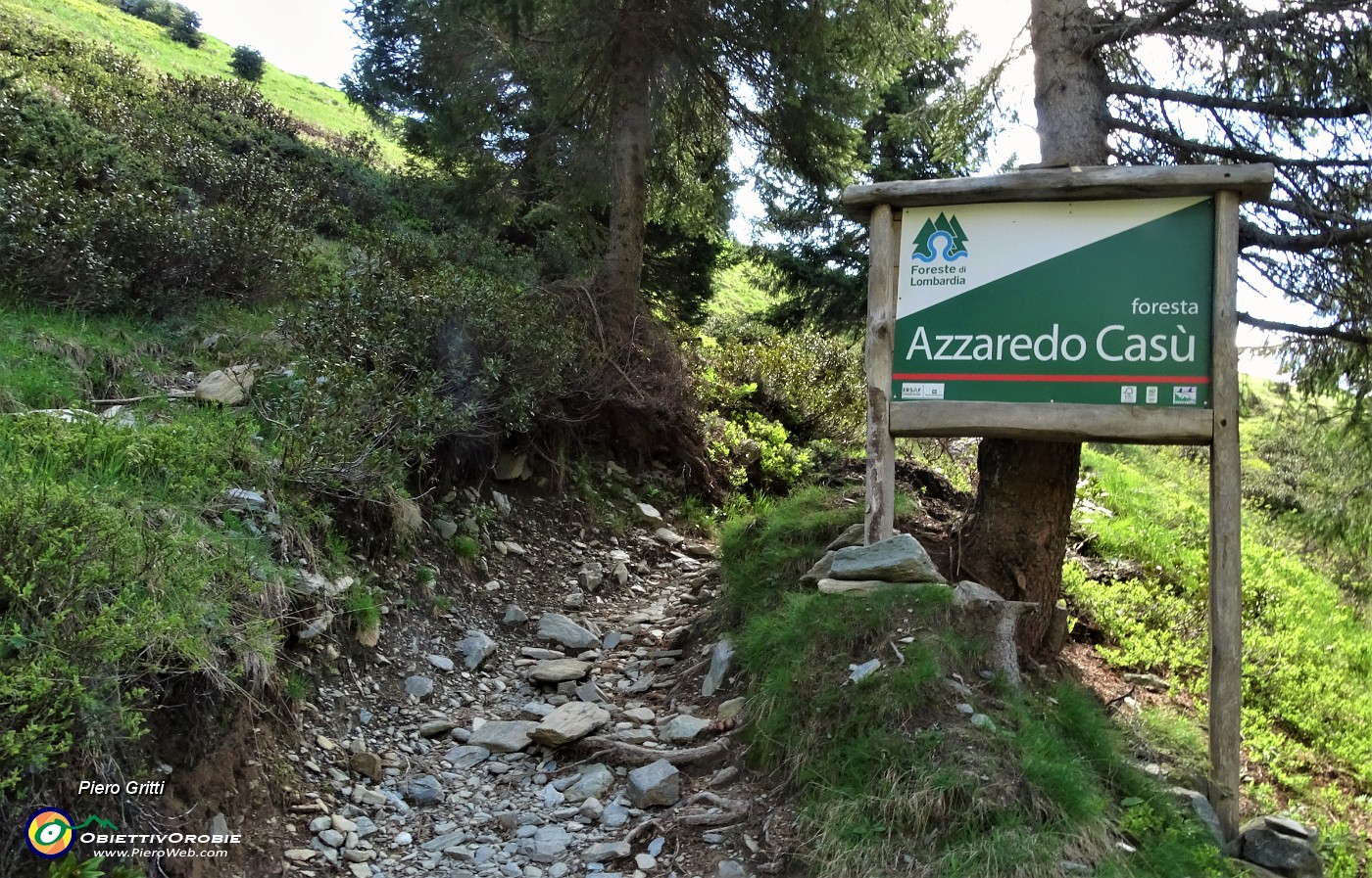 20 Sto camminanado nell'ambente della 'Foresta Azzaredo  Casu'.JPG